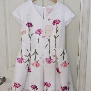 Ted Baker Callila Skater Dress